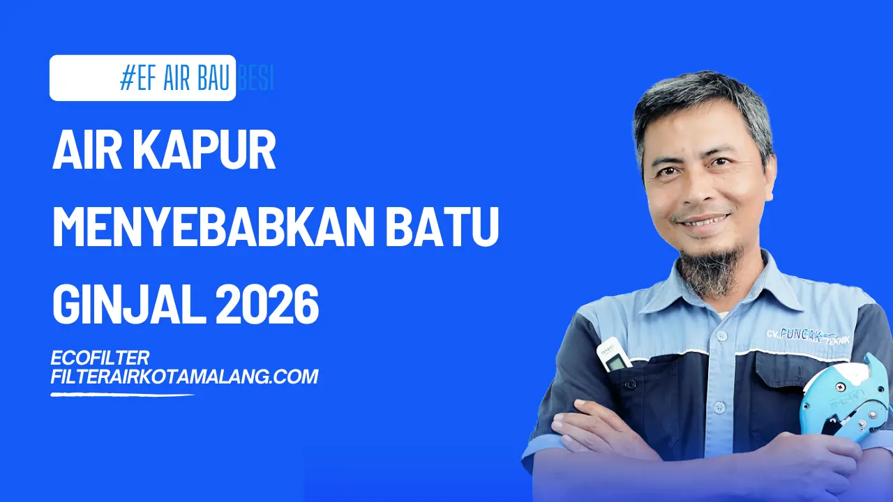 Air Kapur Menyebabkan Batu Ginjal 2026